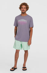 Cali 16'' Swim Shorts Mildrew Mint