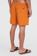 Cali 16'' Swim Shorts Cinnamon Stick