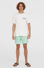 Original Cali 16'' Swim Shorts Mildrew Mint