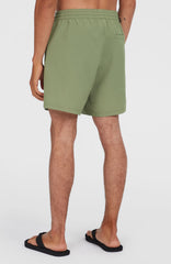 O'Riginals Cali Ocean 16'' Swim Shorts Avery Fern