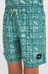 O'Neill Print Swimshorts Blue Bricks