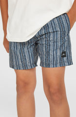 Cali 14'' Swim Shorts Blue Pressed Lines