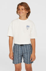Cali 14'' Swim Shorts Blue Pressed Lines