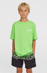 Cali Stripe 14'' Swim Shorts Green Upside Down