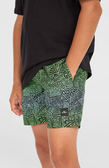 Cali 14'' Swim Shorts Blue Gradikat
