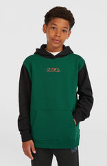 FWC'Play Hoodie Emerald Envy Colour Block