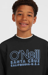Essentials Crew Sweatshirt Black Out