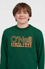 Essentials Crew Sweatshirt Emerald Envy