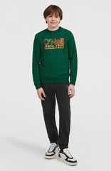 Essentials Crew Sweatshirt Emerald Envy
