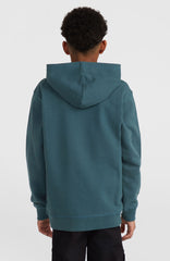 Front Print Hoodie Alma Steel