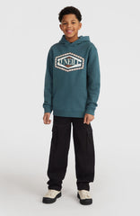 Front Print Hoodie Alma Steel