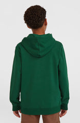 Essentials Hoodie Emerald Envy