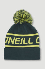 Powder Beanie Alma Steel