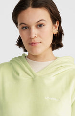 Velour Hoodie Fleece Lime Wash