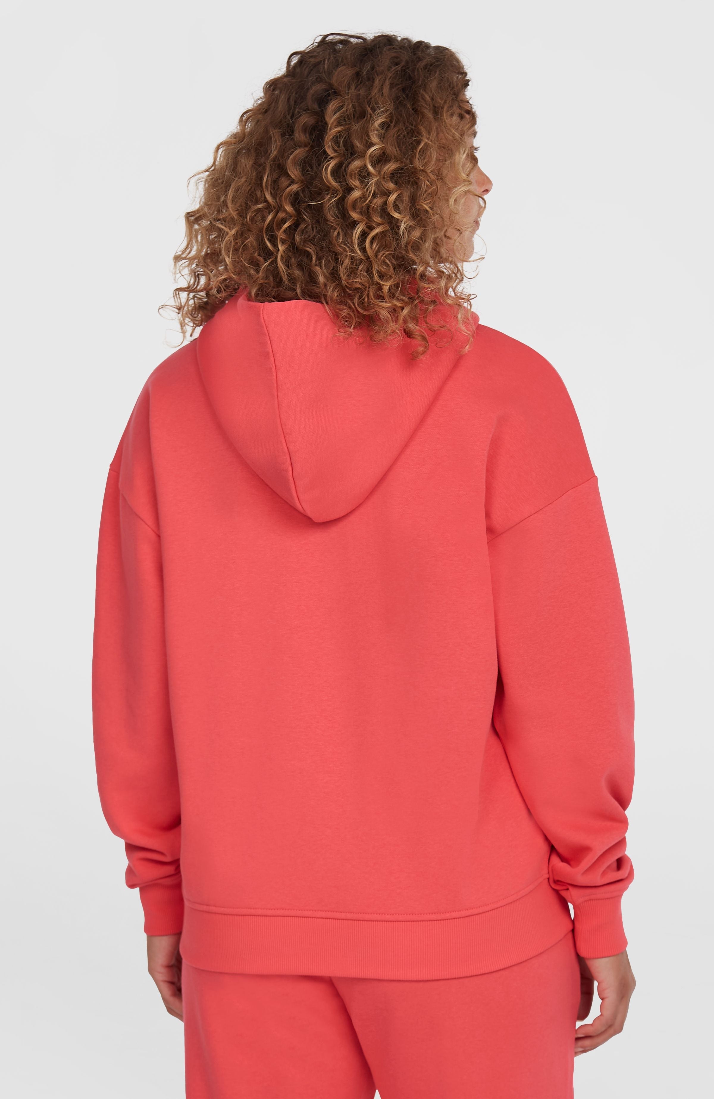 Future Surf Society Hoodie Froly