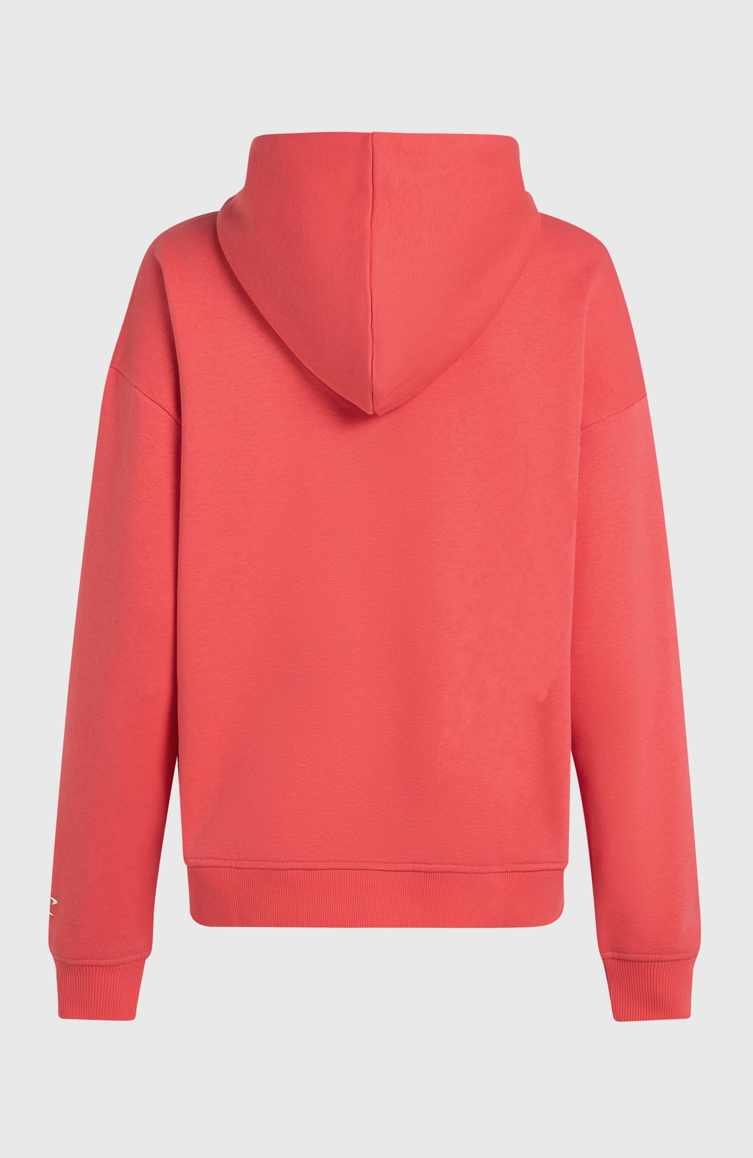 Future Surf Society Hoodie Froly