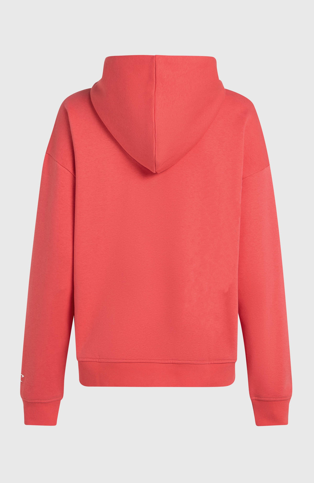 Future Surf Society Hoodie Froly