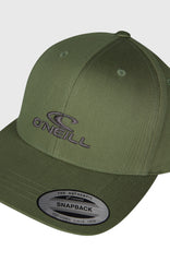 Logo Wave Cap Avery Fern