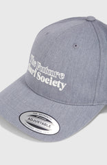 Future Surf Society Cap Silver Melee