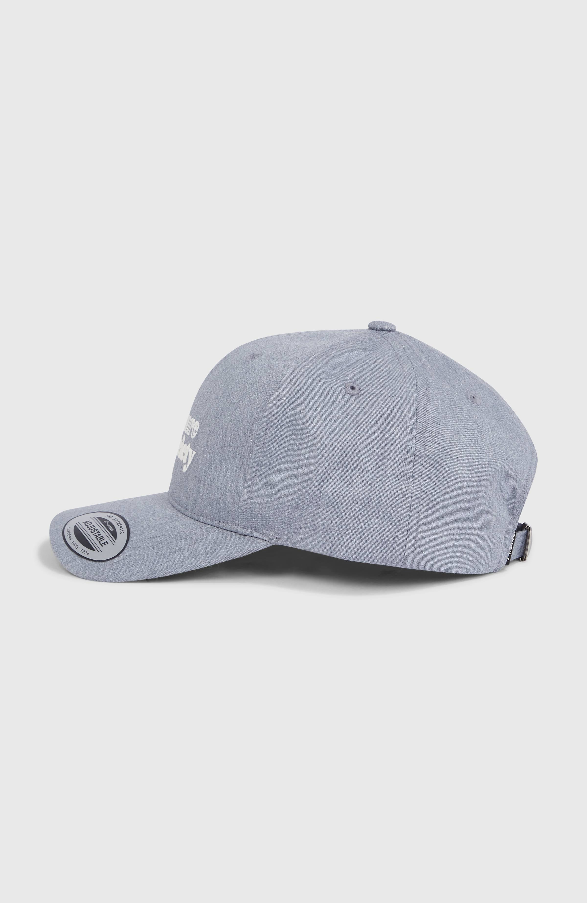 Future Surf Society Cap Silver Melee