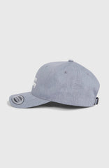 Future Surf Society Cap Silver Melee
