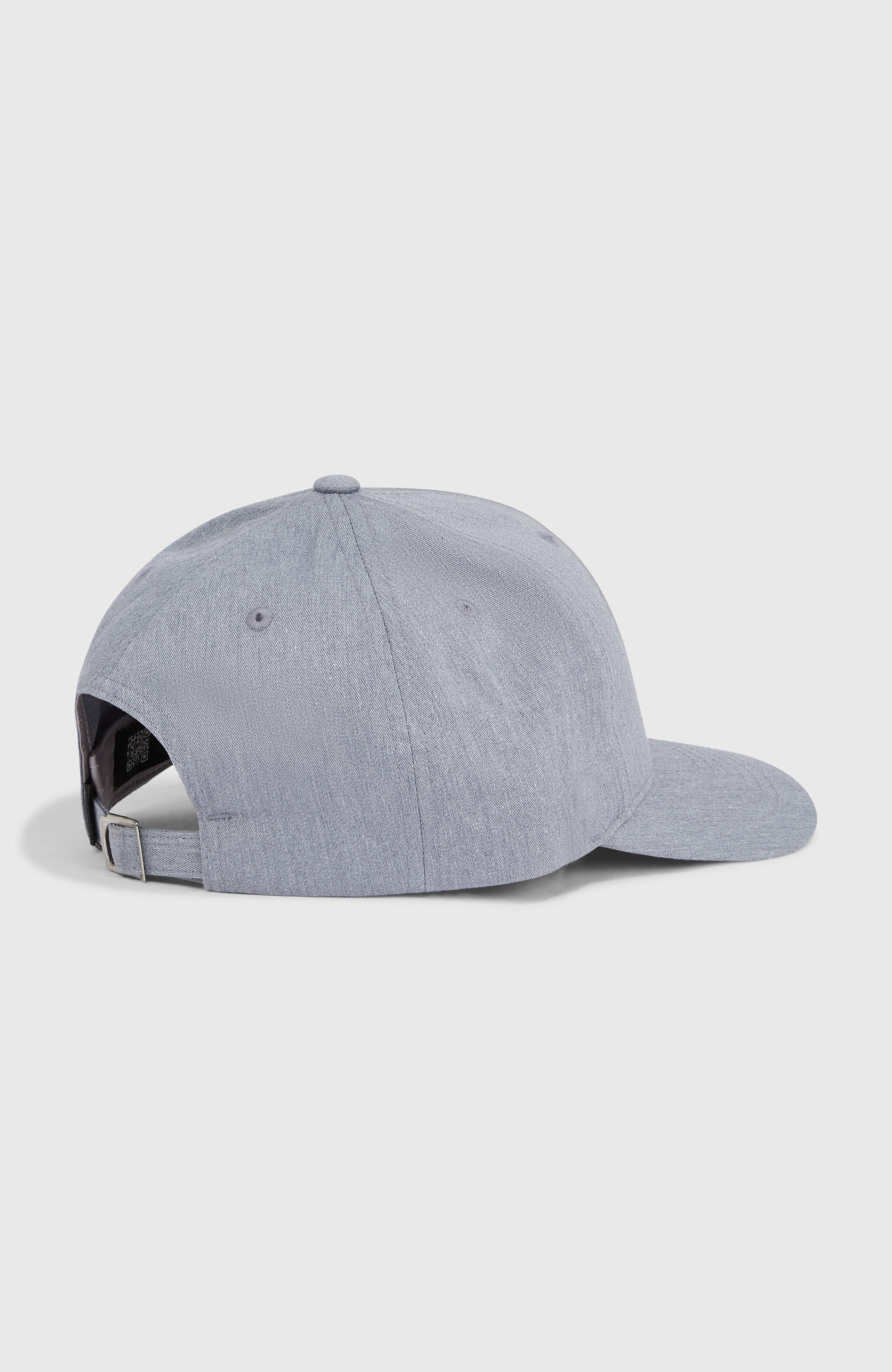 Future Surf Society Cap Silver Melee