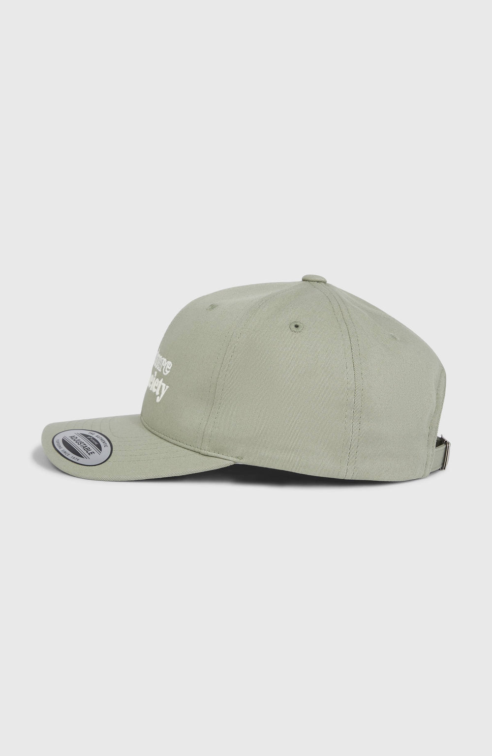 Future Surf Society Cap Avery Fern