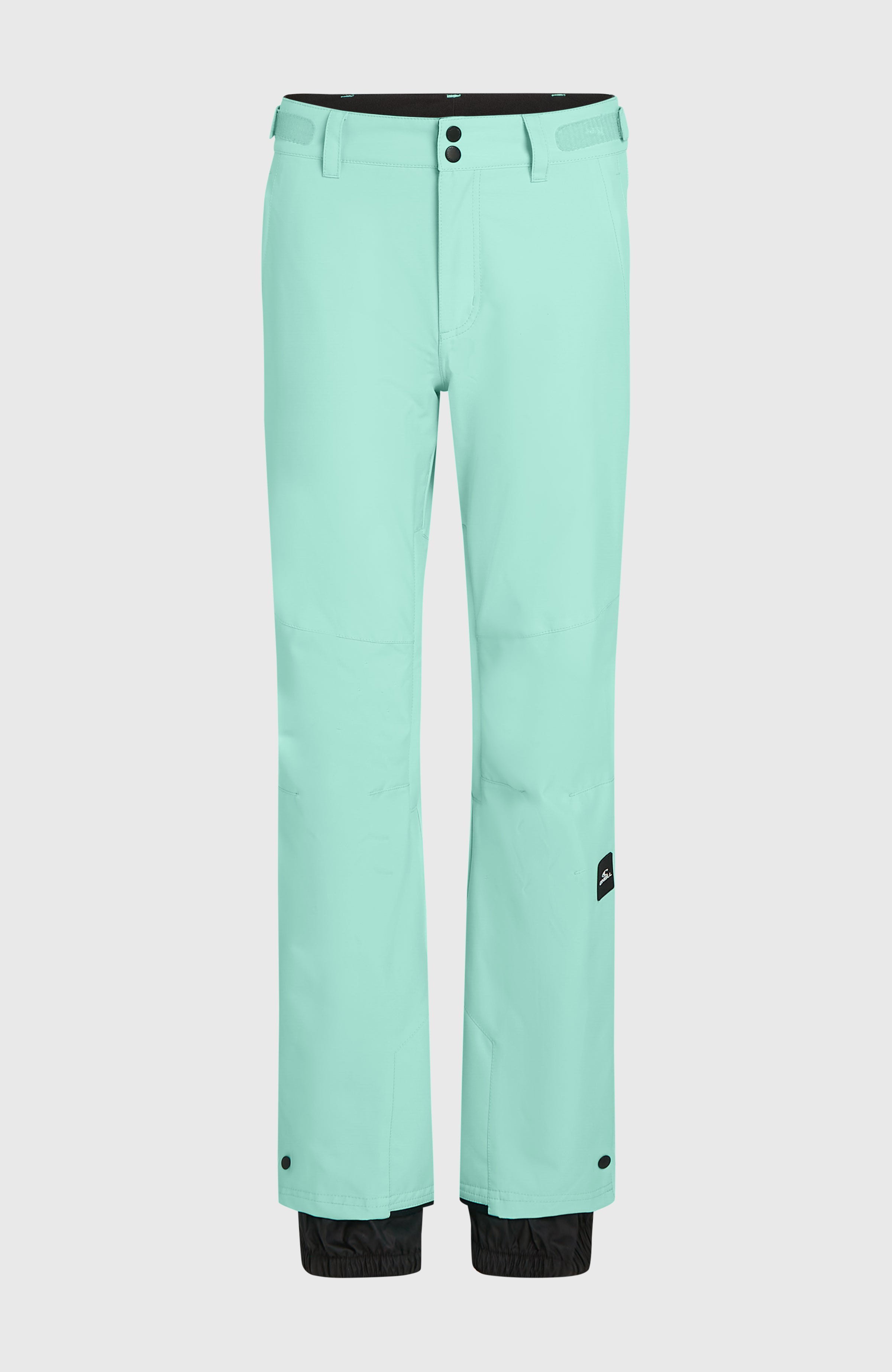 FWC'Cruz Slim Snow Pants Retro Mint