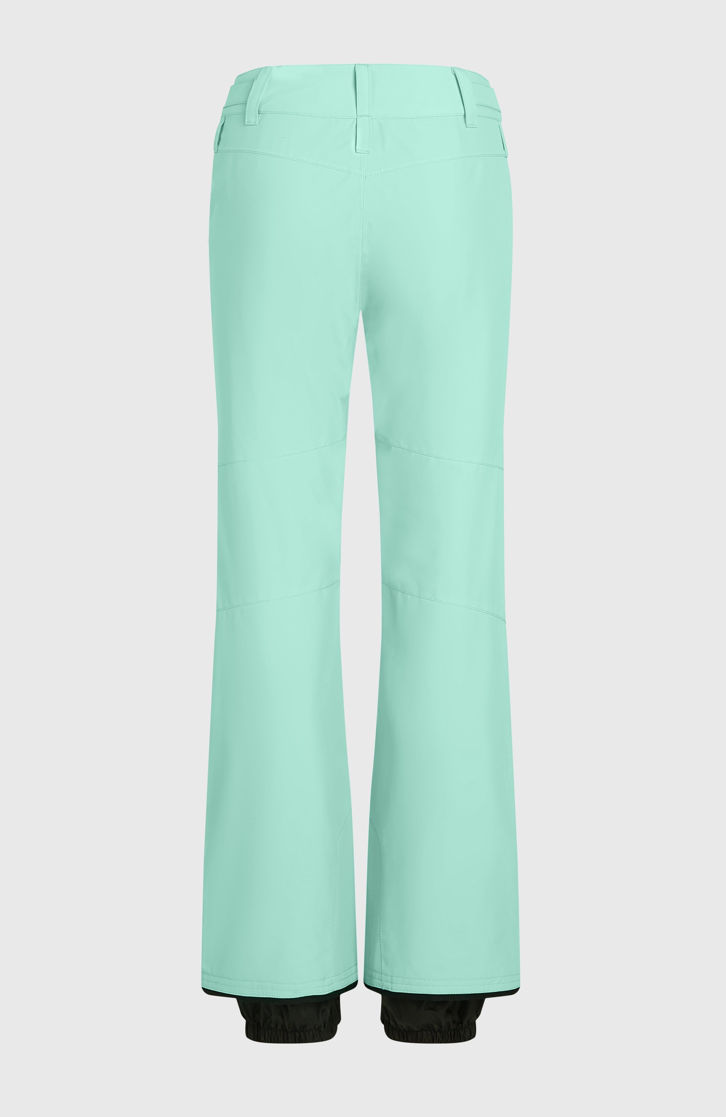 FWC'Cruz Slim Snow Pants Retro Mint