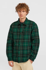 Must-Have Fleece-Lined Shirt Green Flannel Check