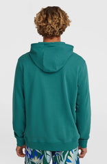 O'Neill Must-Have Graphic Hoodie Botanical Heat