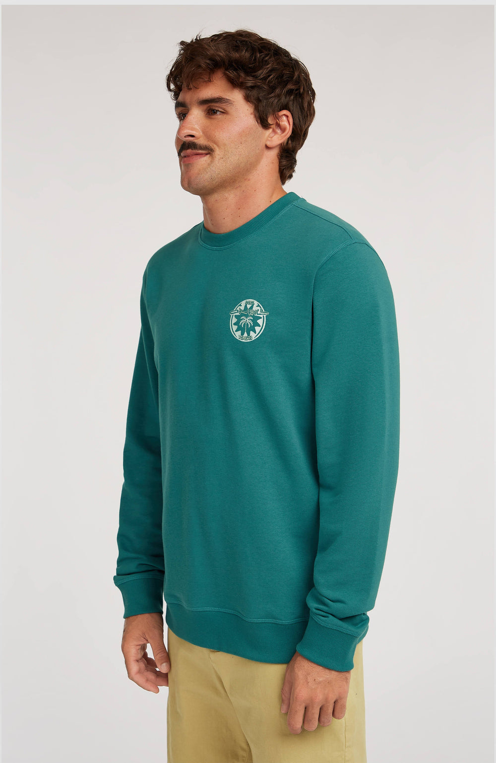 O'Neill Must-Have Graphic Crew Sweatshirt Botanical Heat