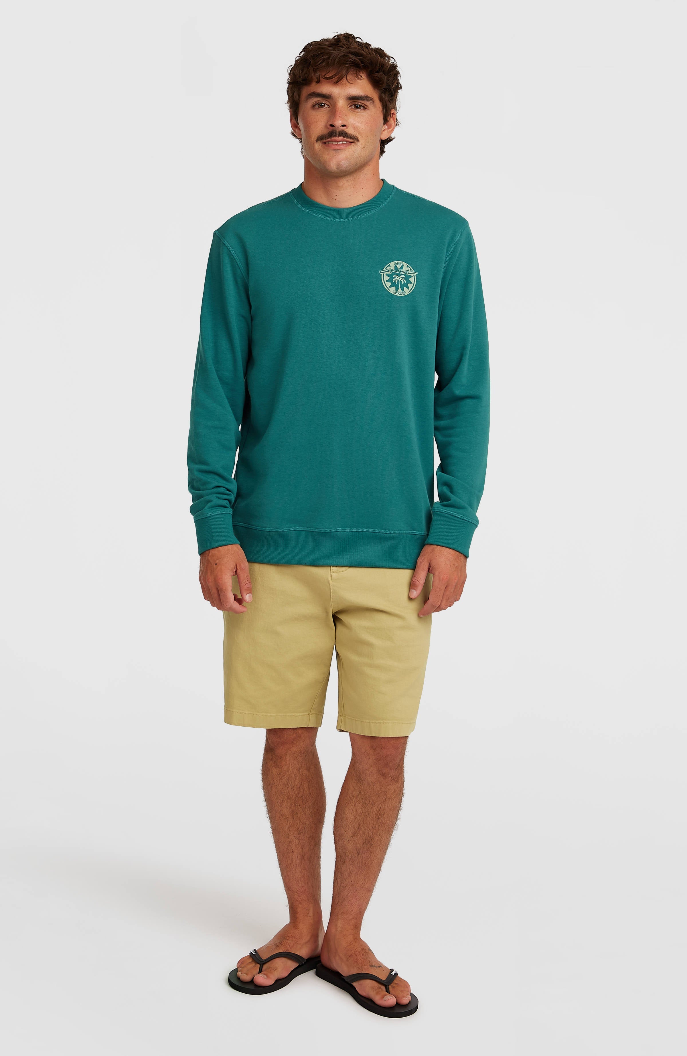 O'Neill Must-Have Graphic Crew Sweatshirt Botanical Heat