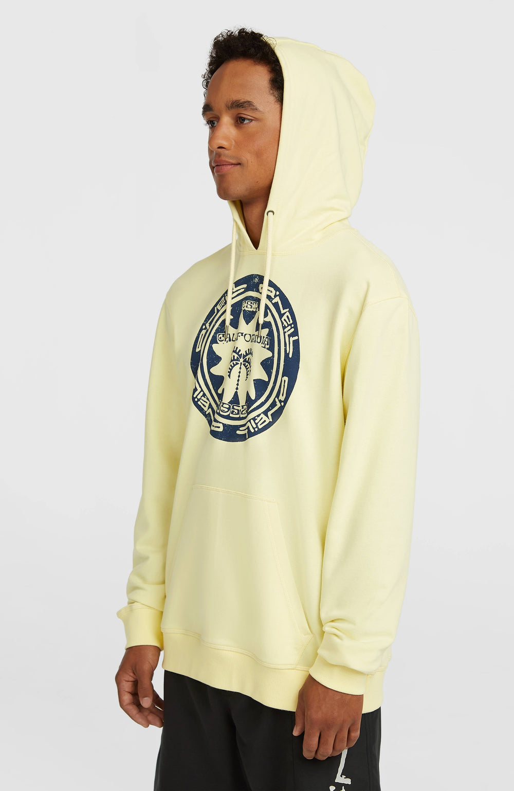 O'Neill Must-Have Graphic Hoodie Rainforest Dew