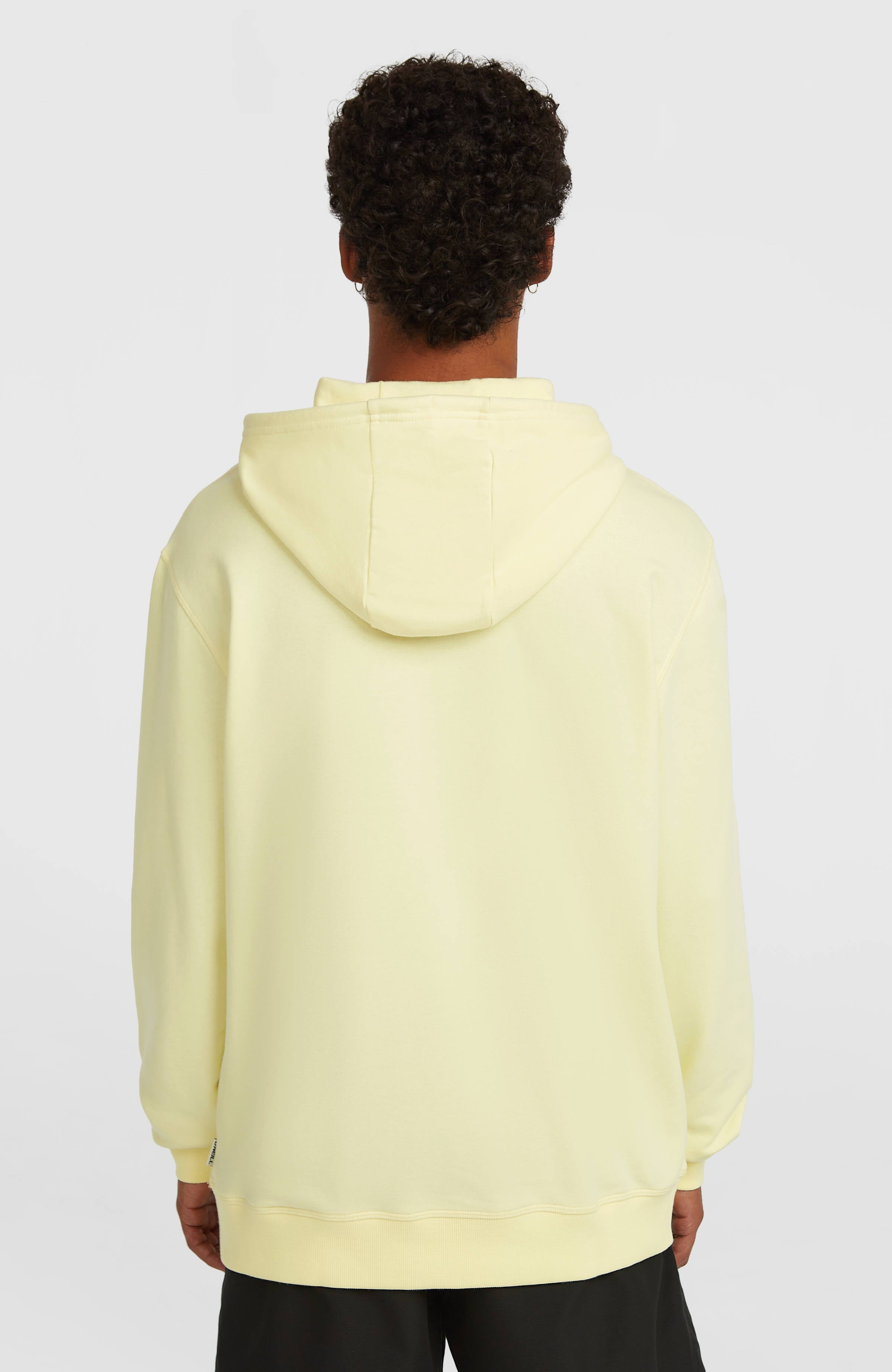 O'Neill Must-Have Graphic Hoodie Rainforest Dew