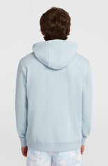 O'Neill Must-Have Graphic Hoodie Spindle