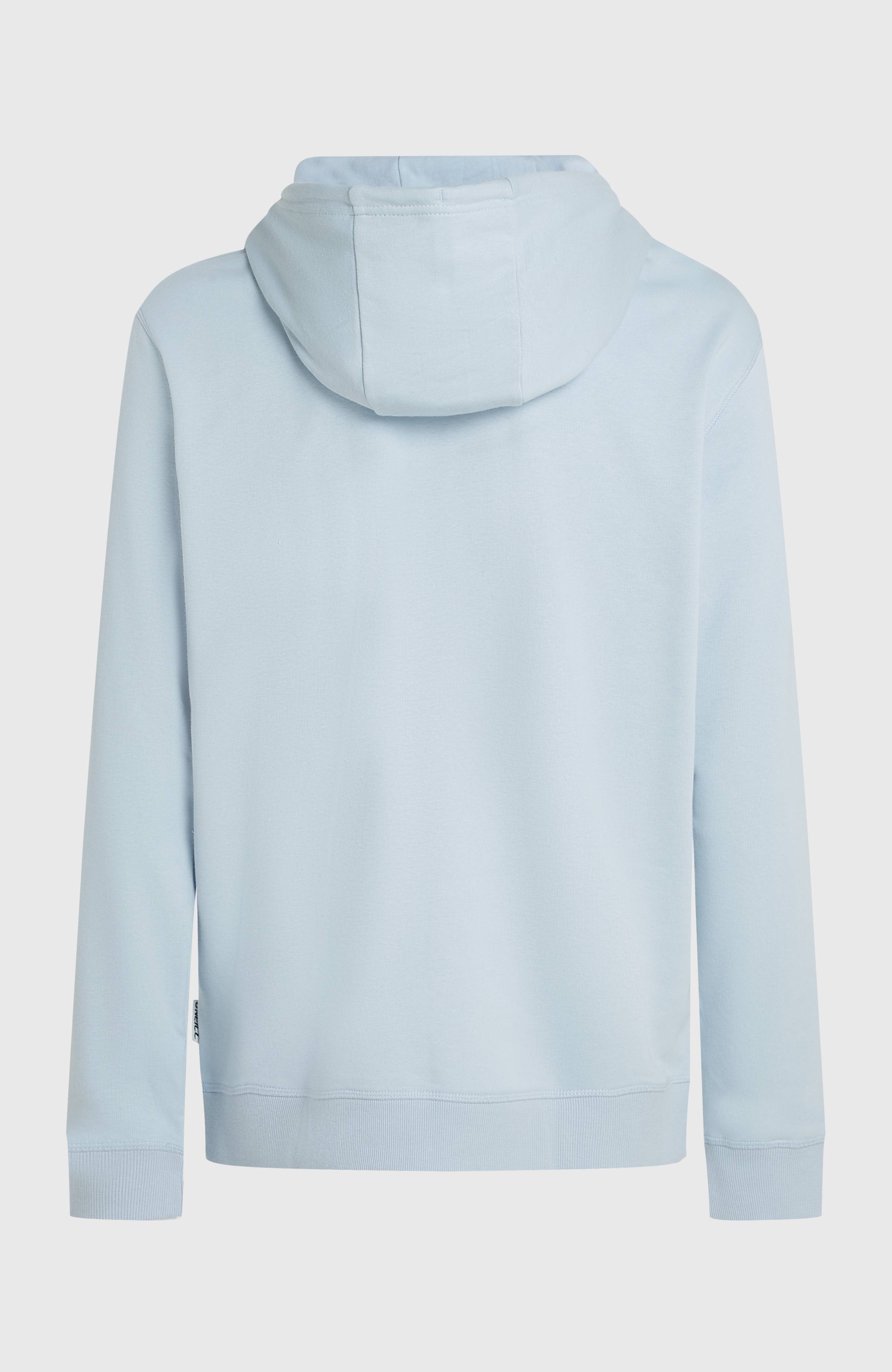 O'Neill Must-Have Graphic Hoodie Spindle