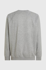 Essentials 90s Logo Crew Sweatshirt Silver Melee