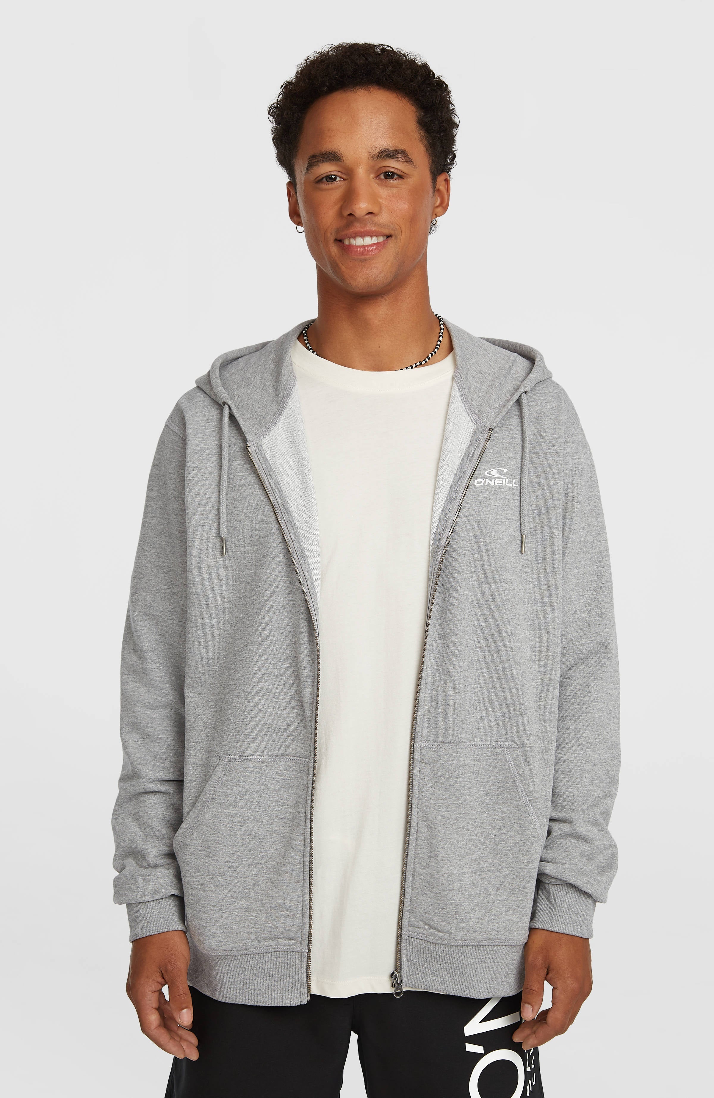 Small Logo Full-Zip Hoodie Silver Melee