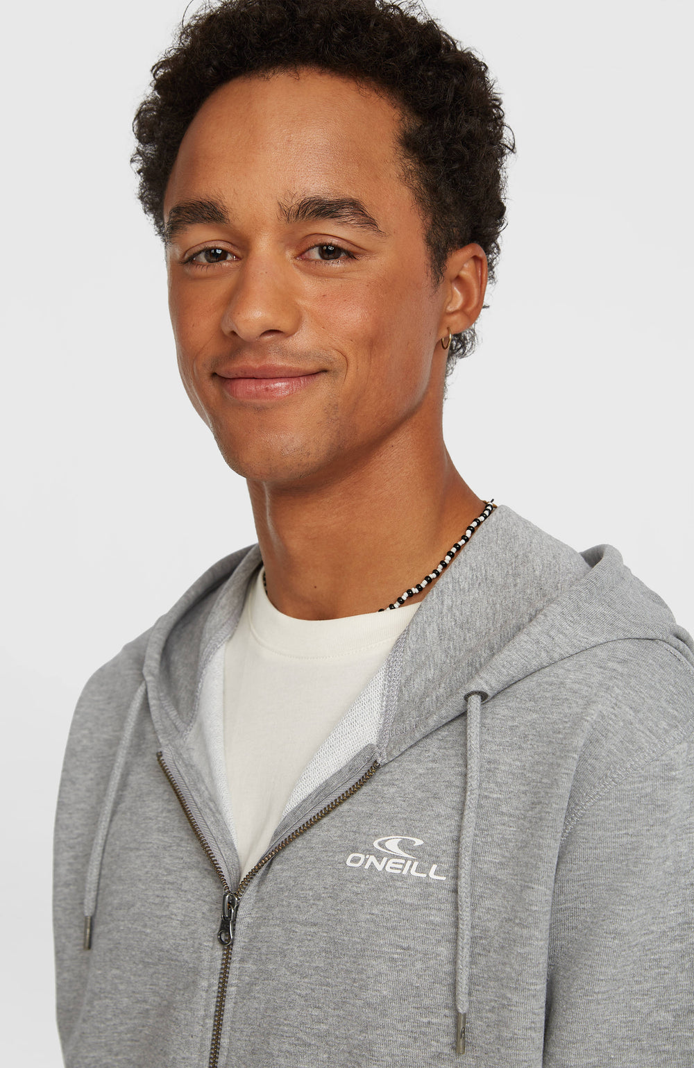 Small Logo Full-Zip Hoodie Silver Melee