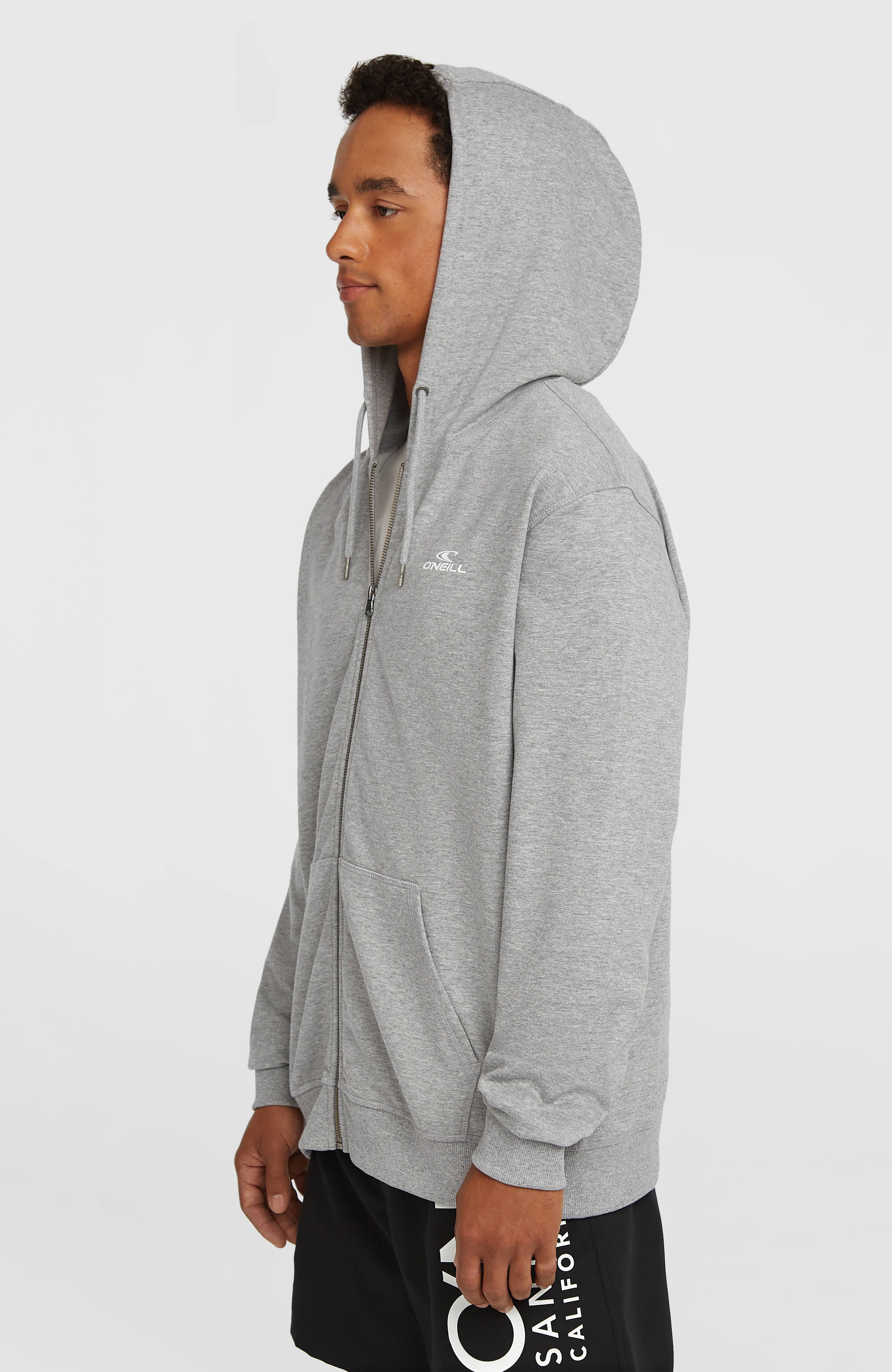 Small Logo Full-Zip Hoodie Silver Melee