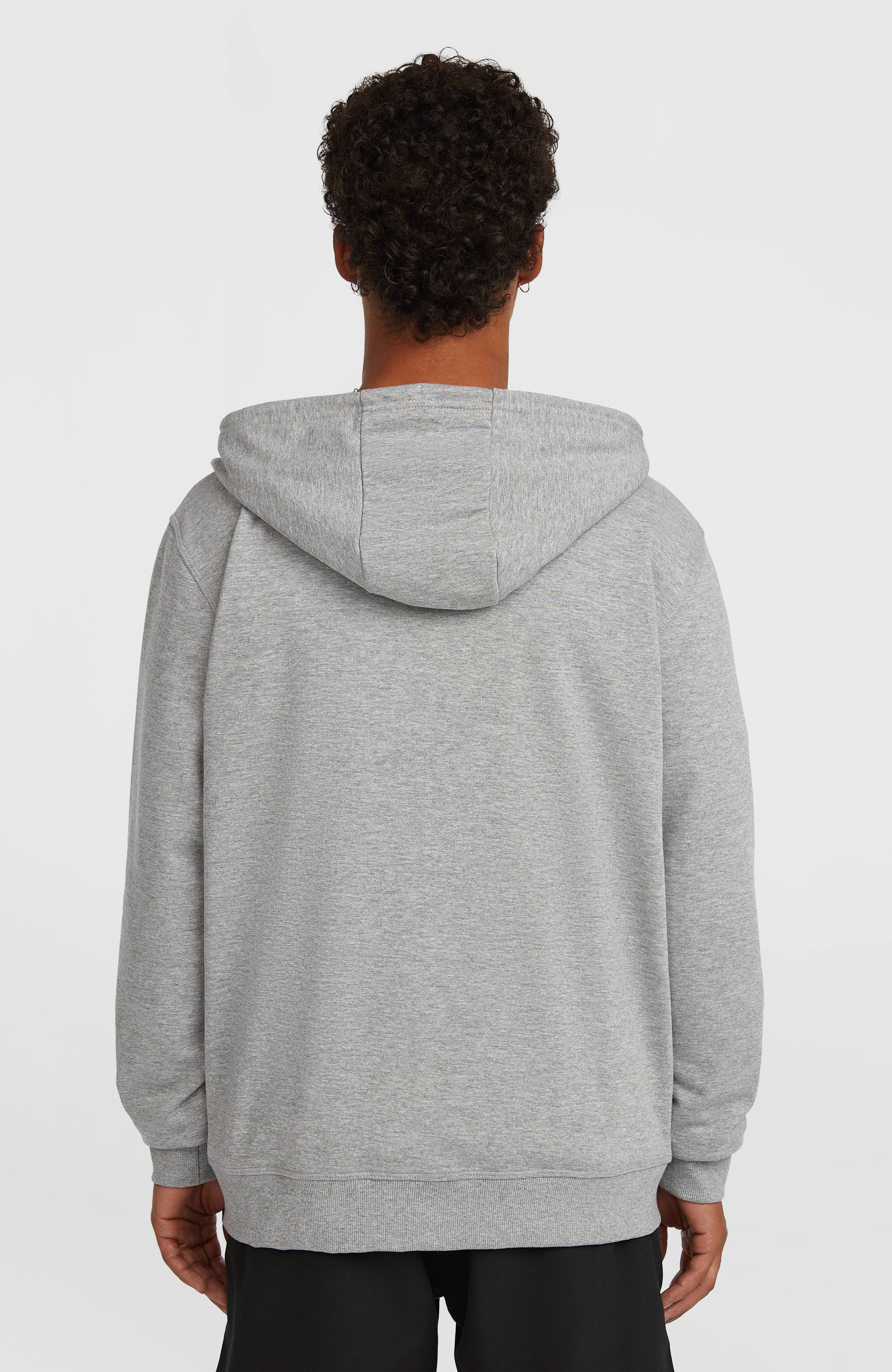 Small Logo Full-Zip Hoodie Silver Melee