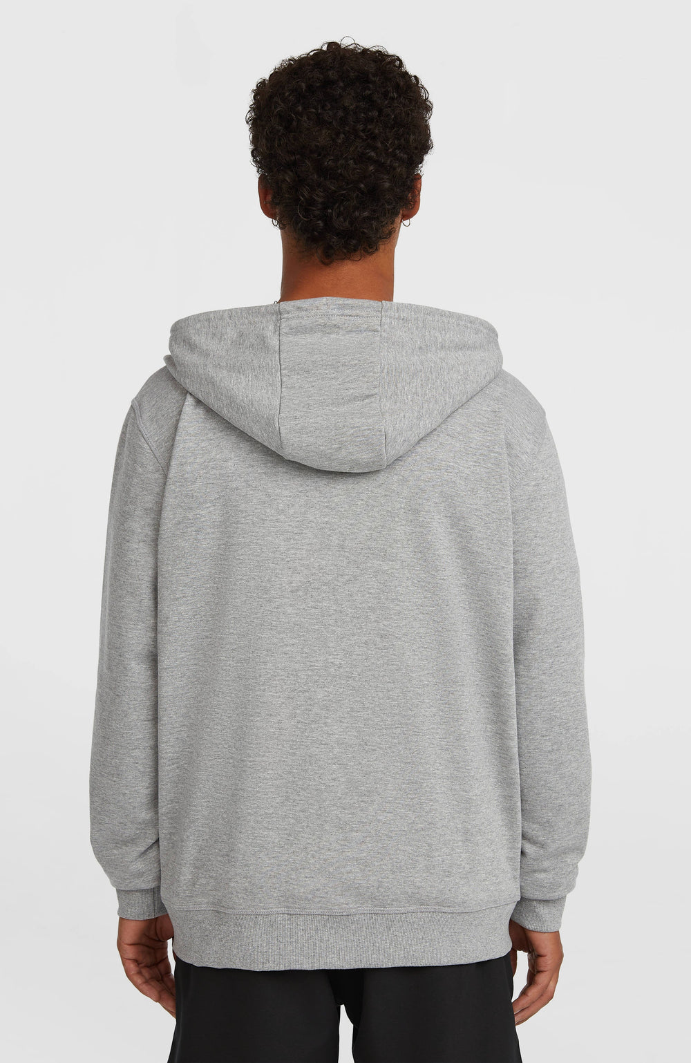 Small Logo Full-Zip Hoodie Silver Melee