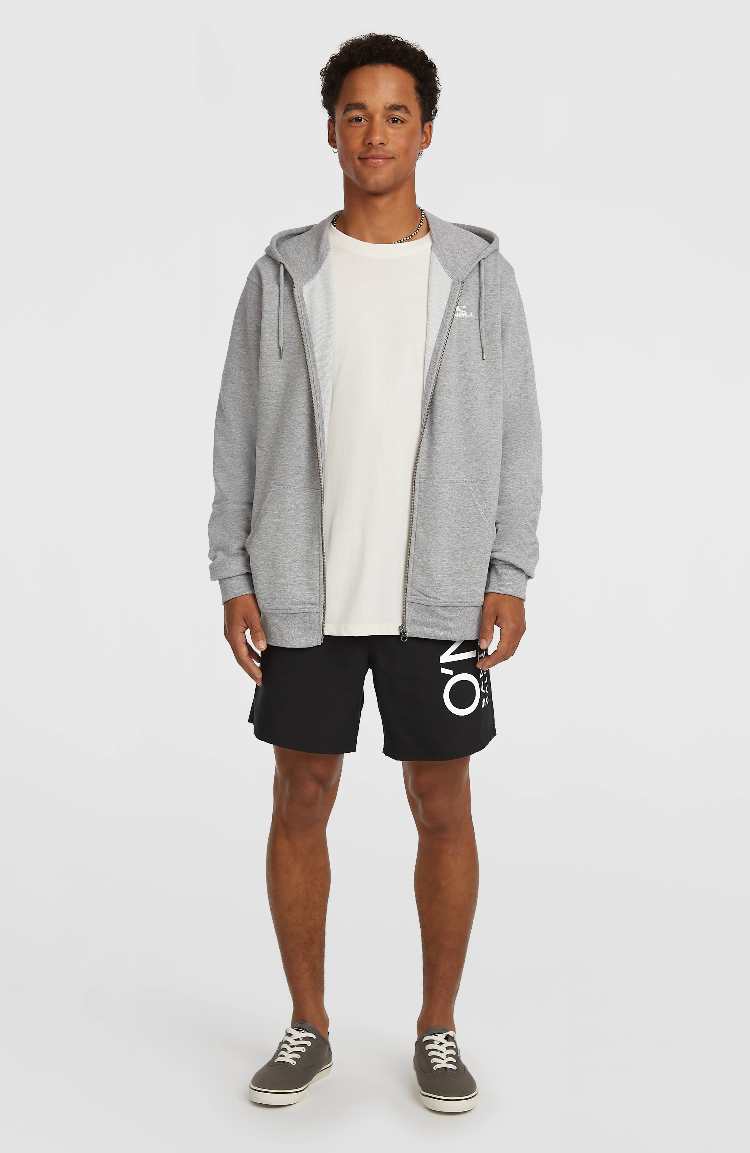 Small Logo Full-Zip Hoodie Silver Melee