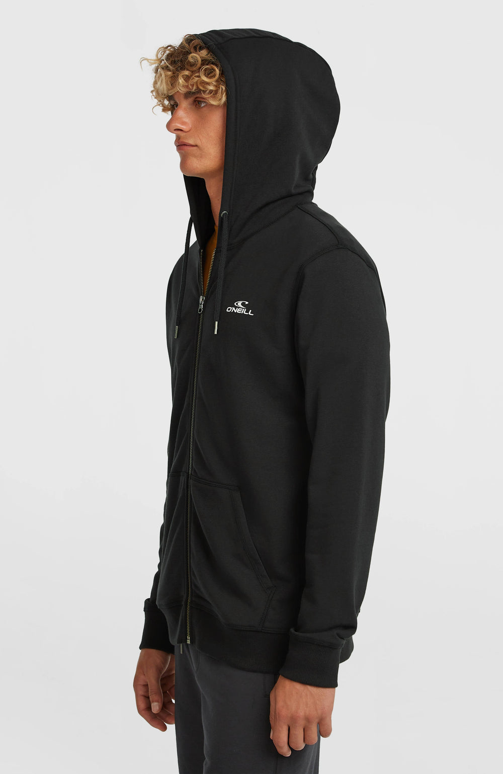 Small Logo Full-Zip Hoodie Black Out