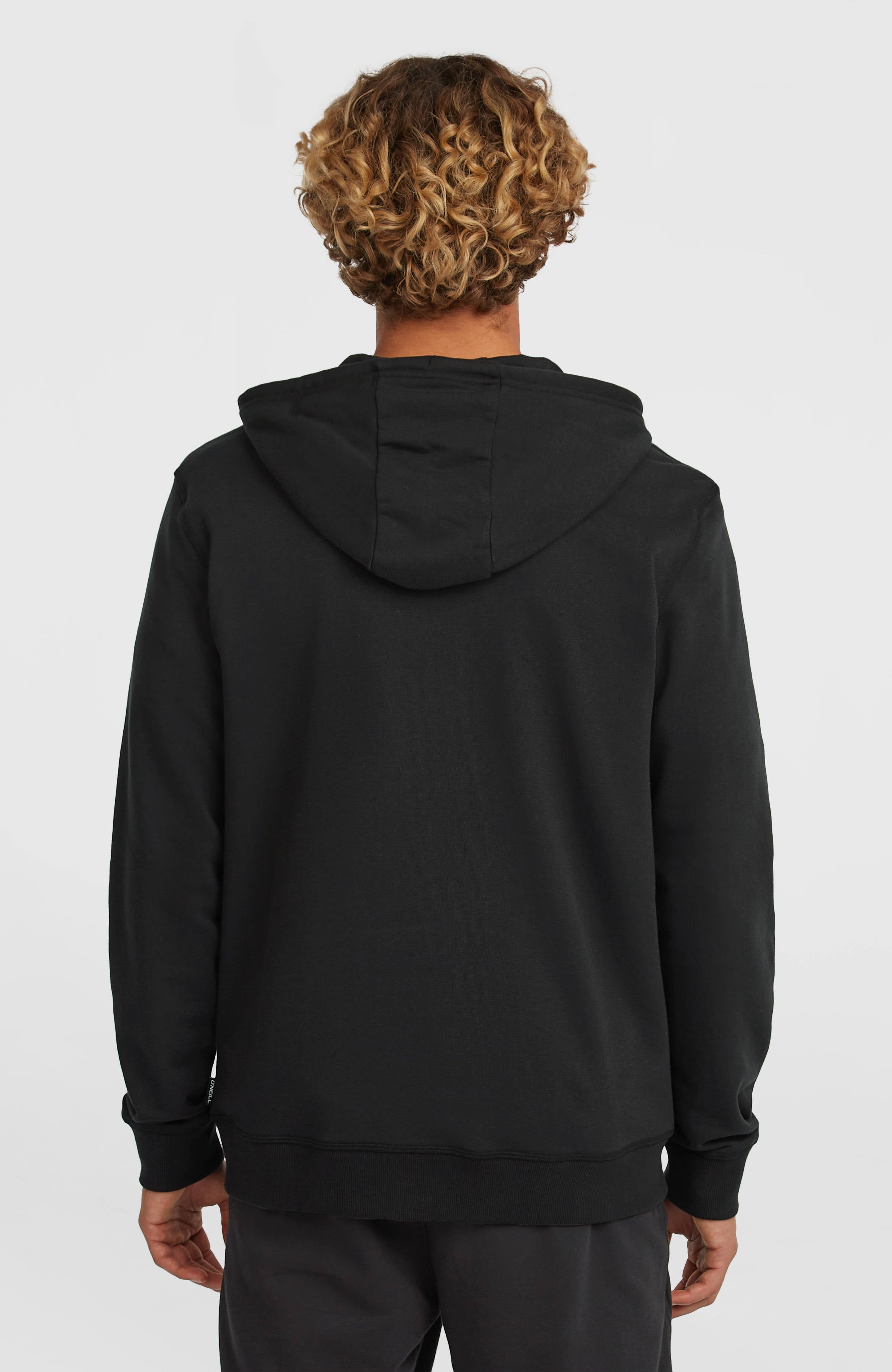 Small Logo Full-Zip Hoodie Black Out