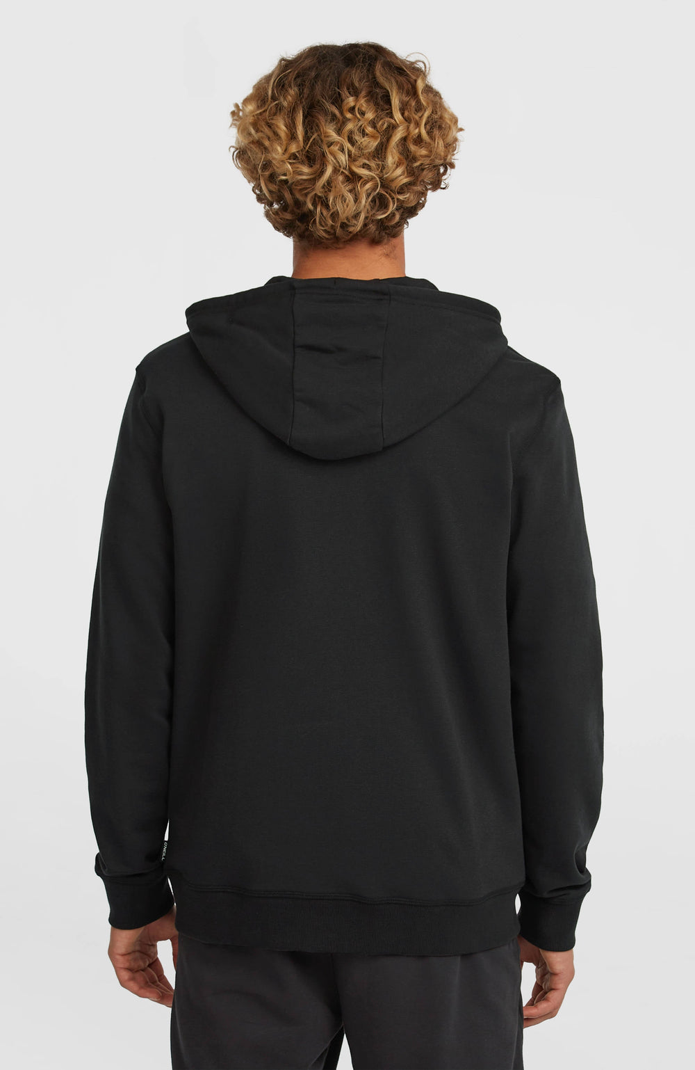 Small Logo Full-Zip Hoodie Black Out