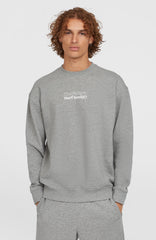 Future Surf Society Crew Silver Melee