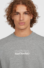 Future Surf Society Crew Silver Melee