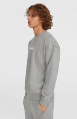 Future Surf Society Crew Silver Melee